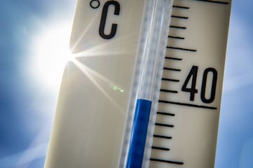 Forscher aus Freiberg erstellen "Kältekarte" für Hitzetage in Sachsen