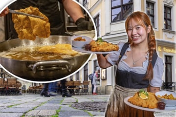 Dresden: Ausgezeichnet vom Gourmet-Magazin: Das Geheimnis der Wiener Schnitzel im "Augustiner"