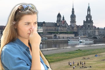 Dresden: In Dresden stinkt's zum Himmel: Ganze Stadt rätselt über üblen Gestank