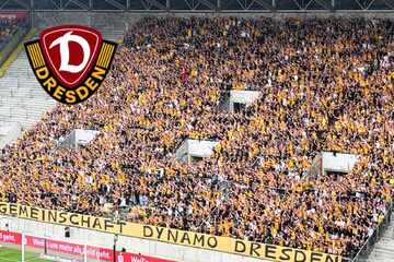Dynamo-Dresden-Blog: Mit einer Überraschung auf dem Flügel - Die Generalprobe gegen Union Berlin läuft!