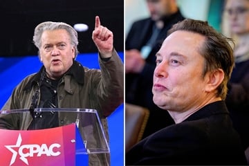 Elon Musk: Elon Musk predicts Steve Bannon will go back to prison "for a long time" in renewed feud