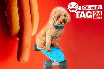 Joke of the Night for February 15, 2026: A doggone funny