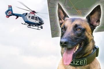 Polizei schickt Hund und Heli, um vermisstes Mädchen (10) zu suchen