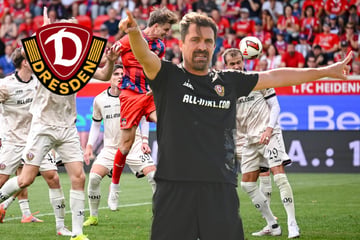 Dynamo will ekliger sein! "Anspruch, den wir an uns haben"