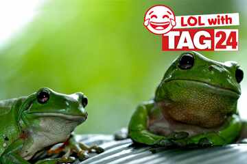 Joke of the Night for March 16, 2026: A froggy funny