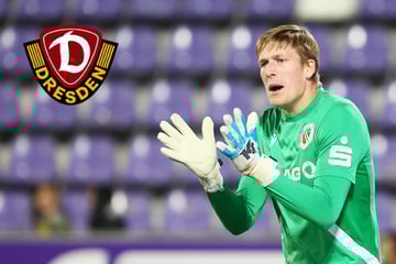 SGD wildert in Cottbus! Er soll Dynamos neuer Keeper werden
