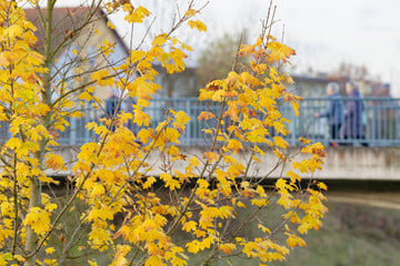 Wetter-Achterbahn über Köln: Erst warm, dann wieder grau!