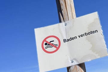 Hamburg: Achtung, Gesundheitsgefahr: An diesen Hamburger Seen ist baden strikt verboten