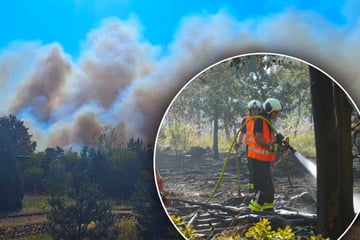 280 Einsatzkräfte bekämpfen Waldbrand: Mehr als 50 Hektar Land betroffen, Kamerad verletzt