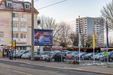 Dresden: Autodiebe brettern mit Toyota durch Zaun, aber landen in Straßenlaterne