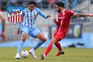 Neuzugang! FSV Zwickau sucht und findet passendes Puzzleteil