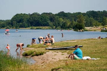 Leipzig: Direkt bis zur Abkühlung: Neue Buslinie fährt ohne Umwege zum Cospudener See