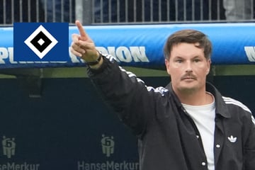 HSV-Blog: Großteil der deutschen Fußballfans glaubt an Abstieg der Rothosen