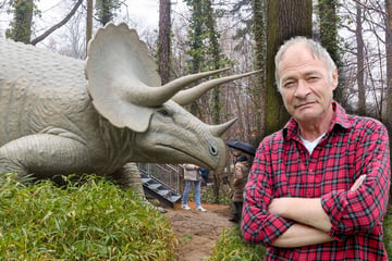 Er hat die Dinos im Saurierpark modelliert: Dieser Lausitzer hat ein Händchen für die Urzeit