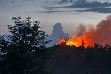 Hunderte Kräfte kämpfen gegen Waldbrand: Schaulustige behindern Arbeiten