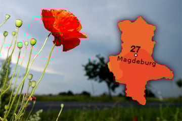 Viele Wolken und kaum Sonne: So wird das Wetter in Sachsen-Anhalt
