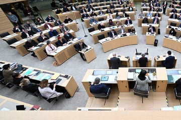 Gereizte Stimmung im Landtag: Diese Partei ist der größte Störenfried!