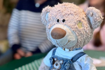 Dresden: Nach 18 Jahren "on the road": Dresdner Travel-Teddy wird generalüberholt