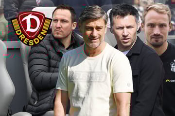 Dynamos Sportboss-Suche vor dem Ende: Einer aus diesem Quartett wird's