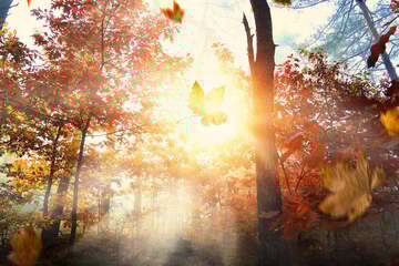 Today's horoscope: Free daily horoscope for Wednesday, November 12, 2025