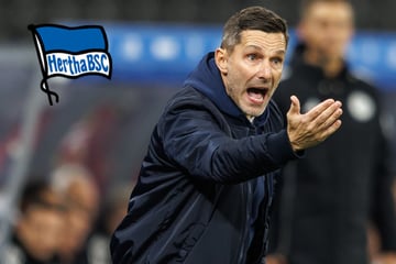 Angstgegner Elversberg? Hertha-Coach Leitl will davon nichts wissen