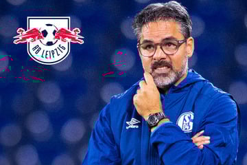 Jetzt soll er's regeln: Ex-Bundesliga-Trainer bekommt Chefposten bei RB Leipzig