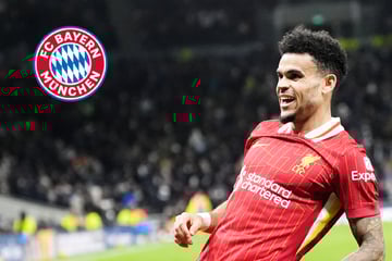 FC Bayern lässt bei Luis Díaz nicht locker: Prognose von Experte sorgt für Hoffnung