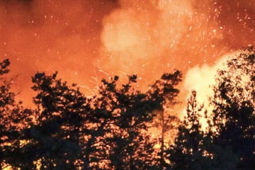 Waldbrand in der Gohrischheide weiter außer Kontrolle