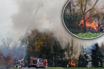 Schuppen in Vollbrand: Flammen drohen auf Wohnhaus überzugreifen