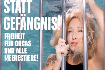 Sarah Connor unter Wasser: Für diese Tiere setzt sich die Sängerin ein
