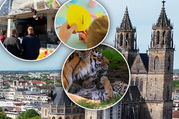 Raus in die Sonne: Diese Events in Magdeburg solltet Ihr nicht verpassen