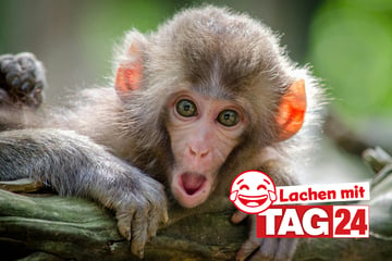 Witz des Tages vom 26.9.2024 - Täglich lachen mit TAG24