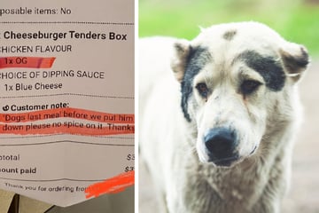 "Letzte Mahlzeit für Hund": Koch erhält Bestellung mit trauriger Notiz
