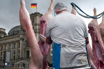 Berlin: "Kein Recht auf Mord!" Darum steht "PETA" mit Masken und einem Sarg vor dem Reichstag
