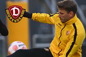 Dynamo-Stürmer Daferner stellt sich in den Dienst der Mannschaft