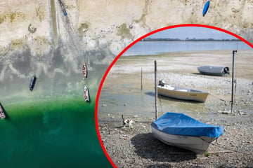 Extrem niedriges Niveau: Pegelstand am Bodensee nähert sich Negativrekord