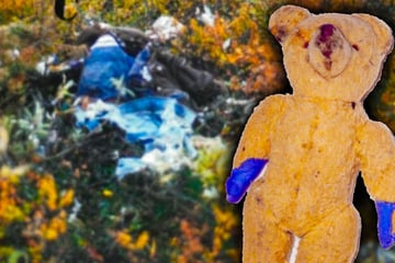 Ein Deutscher? Niemand vermisst den toten Teddybär-Mann