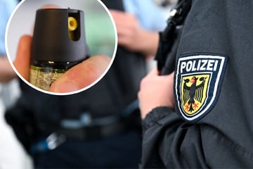 Brutale Angriffe in Zügen bei Stuttgart: Randalierer verletzen Bahn-Mitarbeiter