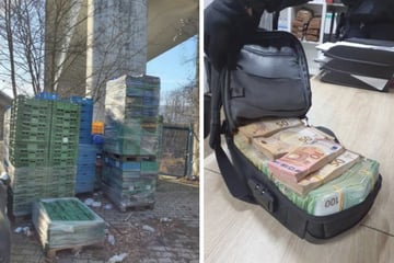 Berlin: Brüder hehlen mit Pfandkisten: Gut 841.000 Euro Schaden und fast eine Million beschlagnahmt