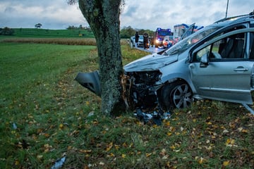 Autofahrer verliert Überlebenskampf nach Crash gegen Baum