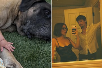 Millie Bobby Brown shares peek at life with Jake Bongiovi, their baby, and plenty of dogs in sweet post