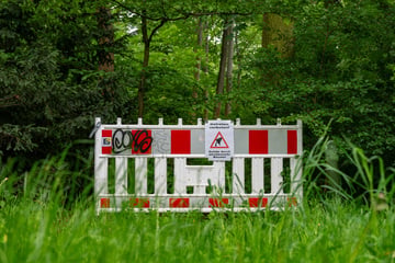 Dresden: Tote im Großen Garten: Jetzt redet auch die Polizei