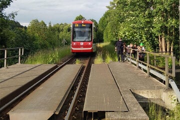 Mehrere Kinder mit Inlinern auf Bahnbrücke, dann kommt ein Zug