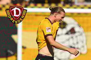Sapina-Sperre steht fest! Das sagt der Dynamo-Sünder zu seinem Platzverweis