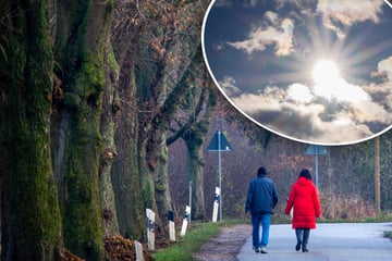 Die Werte steigen auf bis zu 13 Grad: Mildes Wochenend-Wetter in NRW