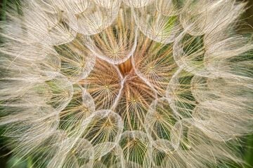 Horoskop morgen: Tageshoroskop kostenlos für den 31.8.2025
