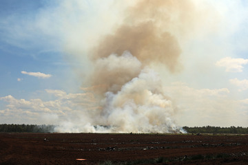 Riesiger Waldbrand im Moor ausgebrochen