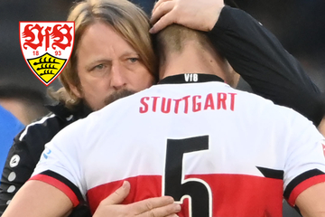 Distraction should save VfB Stuttgart from failure