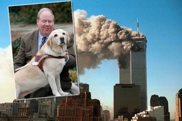 Mitten im Chaos von 9/11: Wie ein Hund sein blindes Herrchen aus dem 78. Stock rettete