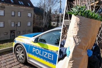 Polizei findet weitere große Drogenplantage in Mittelsachsen